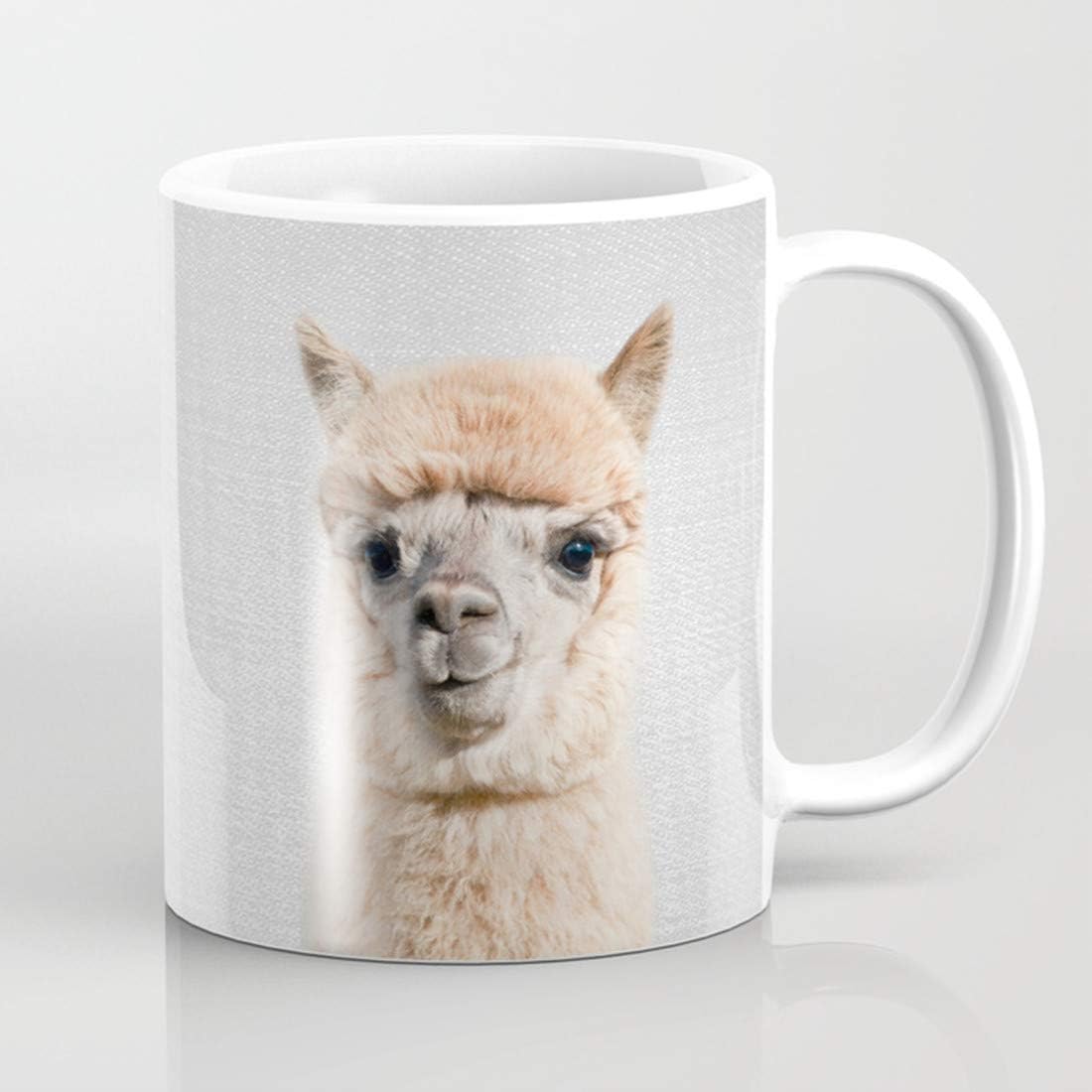 Alpaca - Colorful Coffee Mug Alpaca Gift Alpaca Mug Gift for Alpaca Lover Alpaca Lover Gift