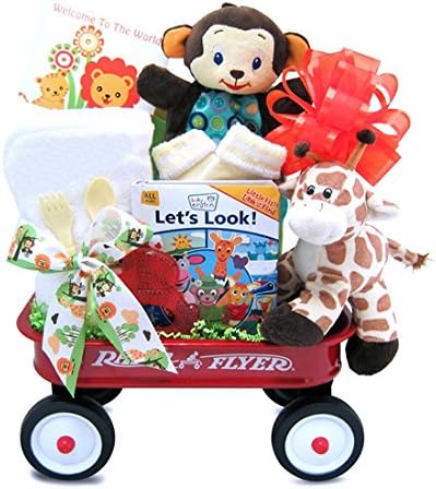 baby einstein gift basket