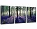 Forest Canvas Wall Art Purple Lavender Sunshine Woods Morning - 3 Pieces 12
