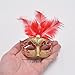 Yiseng Mini Masquerade Masks Party Decorations 12pcs Pack Luxury Feather Pearl Mardi gras Small Venetian mask Decor Party Favors