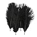 Bseash Natural Ostrich Feathers Bulk 12-14 inches (30-35cm) for Wedding Party Centerpieces, Flower Arrangement and Home Decoration (Black 50pcs)