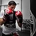 Hayabusa Sport Boxing Gloves (Red, 16 oz)