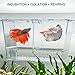 boxtech Aquarium Fish Tank Hatchery Incubator Breeding Box, Acrylic White Breeder Isolation Divider Hatching Boxes Accessory Small Baby Fishes Shrimp Clownfish Guppy (5.2x2.7x2.9'')