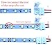 WenTop Led Strip Lights Waterproof Led Tape Light 12v SMD 3528 16.4 Ft (5M) 300leds 60leds/m Warm White Flexible Tape Light for Kitchen, Closet, Mirror, Ceiling - Not Include Power Supply