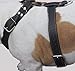 Black Genuine Leather Dog Harness, Large to XLarge. 33