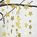 Christmas Gold Glittery Star Garland Decoration 5 Meters Elegant Shiny and Sparkling 16 Feet Long Party Background Decor. Ideal For Weddings, Birthday Parties, Bridal Showers, Holidays, Baby Showers.