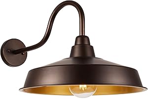 Diyel Gooseneck Barn Light Outdoor, 16 Inch Dome Large Farmhouse Exterior Light Fixture Wall Mount, Industrial Outdoor Wall Sconce Outside for House, Shop, Front Porch, Garage, Entryway, Orb, 1 Pack