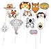Zoo Animal Photo Booth Stick Prop for Birthday (12 pieces)
