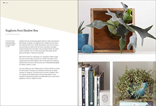 Plant Craft: 30 Projects that Add Natural Style to Your Home