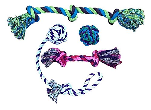 CHEW-STOP-DENTAL Puppy Dog Pet Rope Toys Stops Small Dogs and Teething Puppies from Destroying Your Stuff (Set of 4)