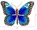 The Paragon Garden Decor - Butterfly Patio Wall Decoration, Metal and Glass Sculpture, Indoor or Outdoor Wall Art