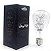 Lumenty ST64 Starry Night 3W Decorative LED Light Bulb - Fireworks Design E26 Base - Vintage Edison Style Bulbs for Pendant Lighting - Romantic Warm White 2300K - Dimmable