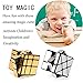 Roxenda Speed Cube Set , Magic Cube Bundle of Gold Mirror S Cube and Silver Windmirror Cube , Irregular Speedcubing 3x3x3 SpeedCube Twisty Box Puzzle