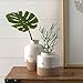Amazon Brand – Stone & Beam Modern Farmhouse Milk Jug Stoneware Home Decor Flower Vase - 6 x 9.25 Inches, Cream and Clay