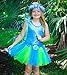 Girls Blue and Green 4 Piece Fairy Costume with Rose Buds, Halo and Wand