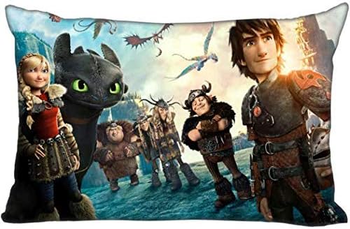 BOBONA Best Custom Pillow Case How to Train Your Dragon Rectangle Pillowcases Zipper