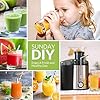 EASEHOLD 800W Juicer Machine Centrifugal Juice Extractor Whole Fruits And Vegetables, Easy to Clean,Stainless Steel with…