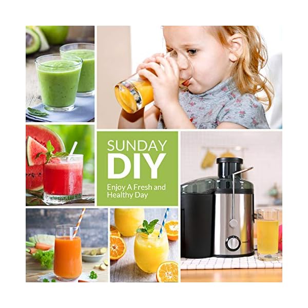 EASEHOLD 800W Juicer Machine Centrifugal Juice Extractor Whole Fruits And Vegetables, Easy to Clean,Stainless Steel with…