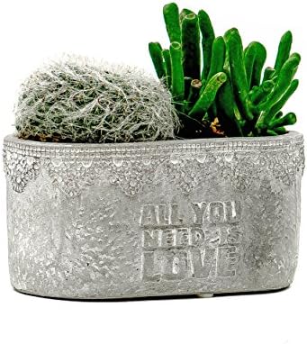 Succulent Planter / Cactus Planter. 5.5 Inch Gray Cement Oval Flower Pot Container - by TERRARIUMS FOR SALE