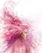Corel Painter 2016 (Old Version)