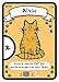 Cat Lady Premium Edition - AEG, Card Game, Collector Tin, Collect and Rescue Cats and Strays, Family Fun, Cute Art, 2 to 4 Players, 30 Minute Play Time, for Ages 14 and Up
