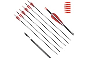 WANGQIN ARCHERY Archery Carbon Arrow Hunting Target Practice Arrows 26 28 30 Inch with Removable Tips for Compound & Recurve Bow 500 Spine 6PCS 12PCS