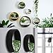 3 Pack Set Wall Planters Modern Wall Vase Succulent Planter Circle Flower Pot Metal Iron Indoor Vertical Container Wall Hanging Home Decoration Size S,M,L Black, Include 3 Artificial Succulent Plantsthumb 2