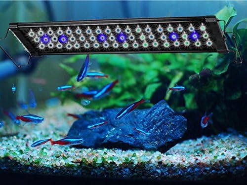 エムカンパニー 水槽用ライト 129発led 90cm 125cm アクアリウムライト Led900 アクアリウム 熱帯魚観賞魚 水草育成 照明 B07xh3kf7r 2 690円 大人気 New Arrival 最安値挑戦 年中無休 高品質 通販