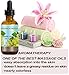 Botanical Beauty GRAPE SEED OIL 100% Pure Natural Undiluted Refined Cold Pressed Carrier Oil for Face, Skin, Body, Hair, Massage, Lip, Nails. 4 Fl. oz-120 ml.