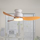 EKIZNSN 46'' Flush Mount Low Profile Ceiling Fan