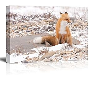 Fox in The Wild Wall Decor