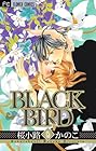 BLACK BIRD 第15巻