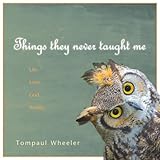 Things They Never Taught Me by 