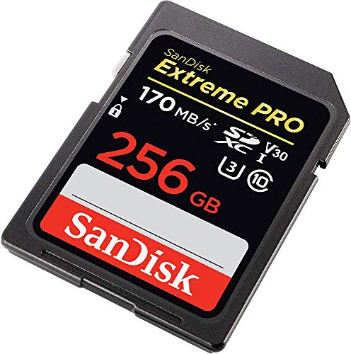2 SanDisk+256GB+Extreme+UHS+I+SDSDXXY+256G+GN4IN