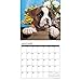 Just Boxer Puppies 2018 Calendar
