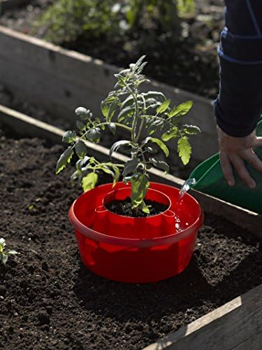 Tomate Halos, juego de 3, rosso: Amazon.es: Jardín