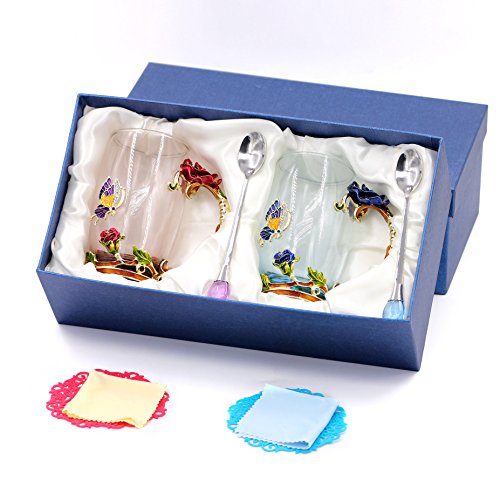 Daycindy 2 Pack Glasses Cup Enamel Tea Coffee Cups with Spoon Set (13oz, Blue & Red)