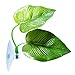 CousDUoBe 2 Pack Betta Fish Leaf Pad Improves Betta’s Health by Simulating The Natural Habitat – Natural, Organic, Comfortable Rest Area for Fish Aquariumthumb 1