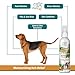 Pupkiss Pets Oatmeal Anti Itch Spray For Dogs & Cats | Relief For Pets With Allergies, Flea Bites, Itchiness & Sensitive Skin | Soothes & Moisturizes Dry Dog Skin | Made in USA