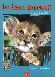 Les Bébés Animaux - Les Félins