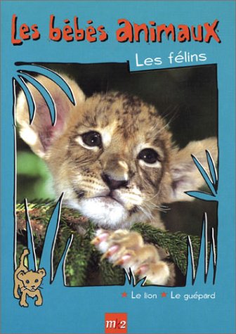 Les Bébés Animaux - Les Félins