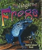 Playdough Frog