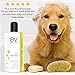 Earth Vibes Natural Oatmeal Dog & Cat Pet Shampoo & Conditioner, Dry Itchy Skin Relief for Dogs, Cats & Pets, Calming Aloe Vera, Made in USA, 16oz