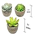 Artificial Succulents Plants,Fake Potted Cactus Faux Cacti Green for Home Indoor Decoration Set of 5