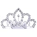 ROFIFY Women Girls Silver Crystal Rhinestone Headband Comb Hair Clip Princess Wedding Bridal Elegant Tiara Crown FJ16