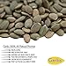 Gerbs Lightly Sea Salted Pumpkin Seed Kernels 1 lb. | Small Batch Roasted, No Additives, Resealable Bag | Crunchy & Savory | Top 14 Allergen-Free