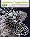 Lionfishes and Other Scorpionfishes by Frank E. Marini Ph. D.
