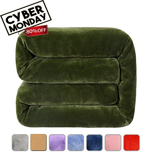 Fleece Bed Blanket Super Soft Warm Fuzzy Velvet Plush Throw Lightweight Cozy Couch Twin/Queen/King Size (King(104-by-90 luches), Green)