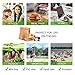 Tyvek Lunch Bag pack of 2, Eco Waterproof Reusable Lunch Box,Tyvek Leakproof Insulated Brown Paper Snack bags for work/school/picnic（6L）