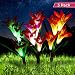 Optimal Home Living Solar Garden Stake Light 3 Pack Lily Light for Outdoor Landscape Lighting | Decorative Garden Lighting Turns Your Lawn into Art | LED Flower Lights for Illuminating at Night primary